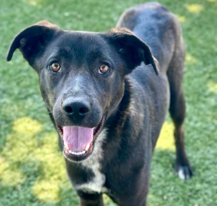 Photo of Moxie