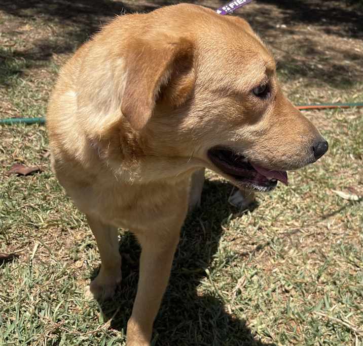 Photo of LOLA