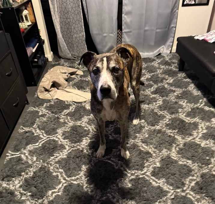 Photo of Louie