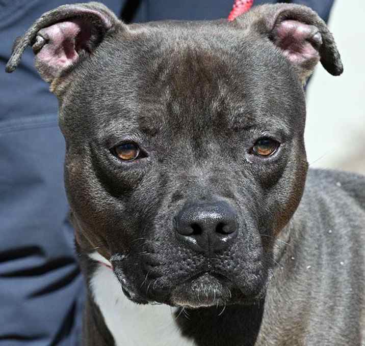 Photo of Coco