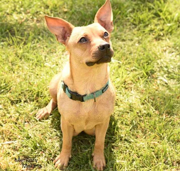 Photo of Maggie May