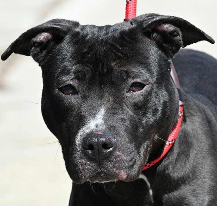 Photo of MAGGIE