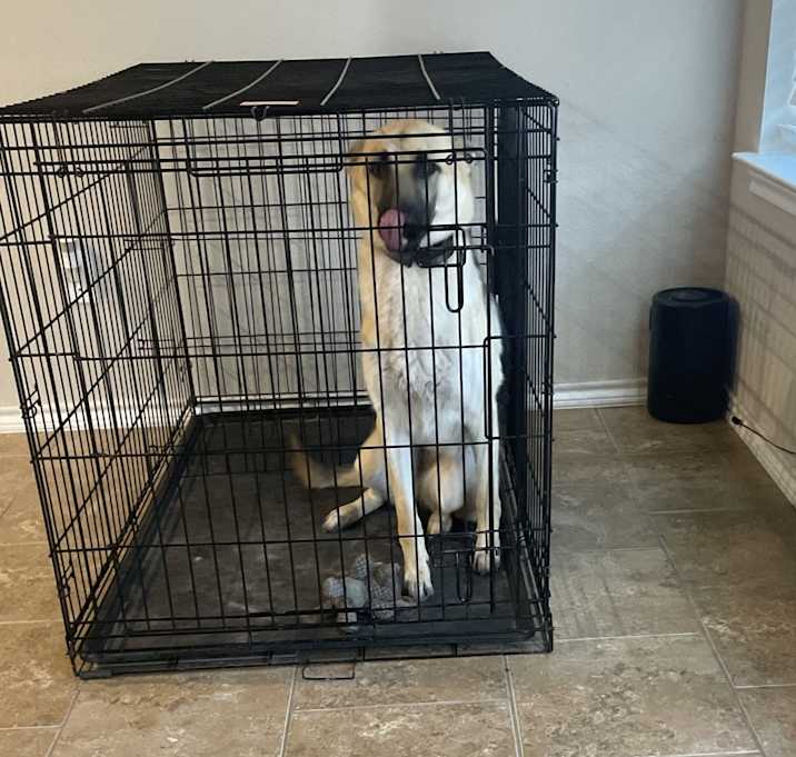 Photo of Dakota