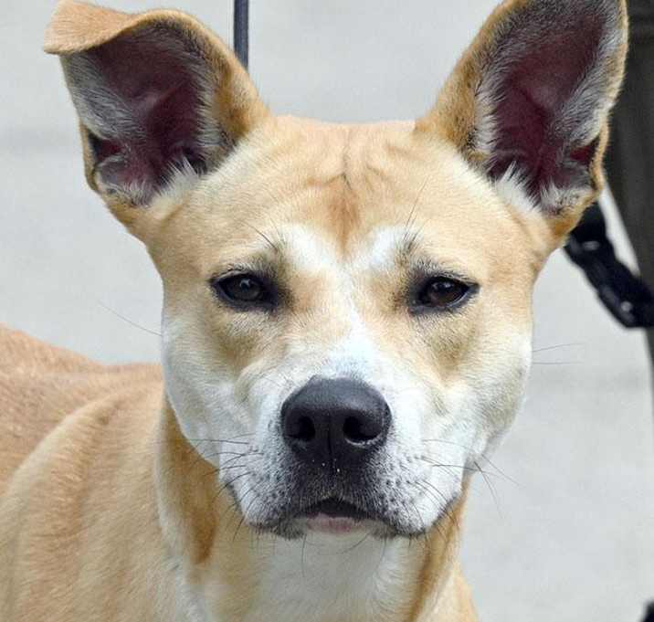 Photo of SANDY