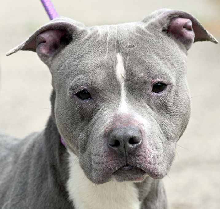 Photo of CHUNK