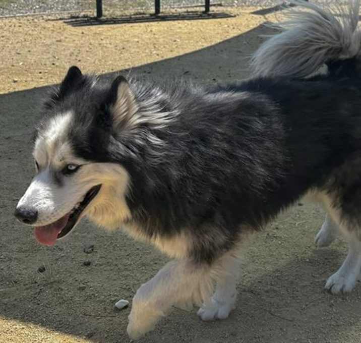 Photo of ARLO