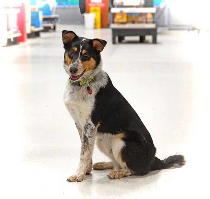 Photo of Ralph
