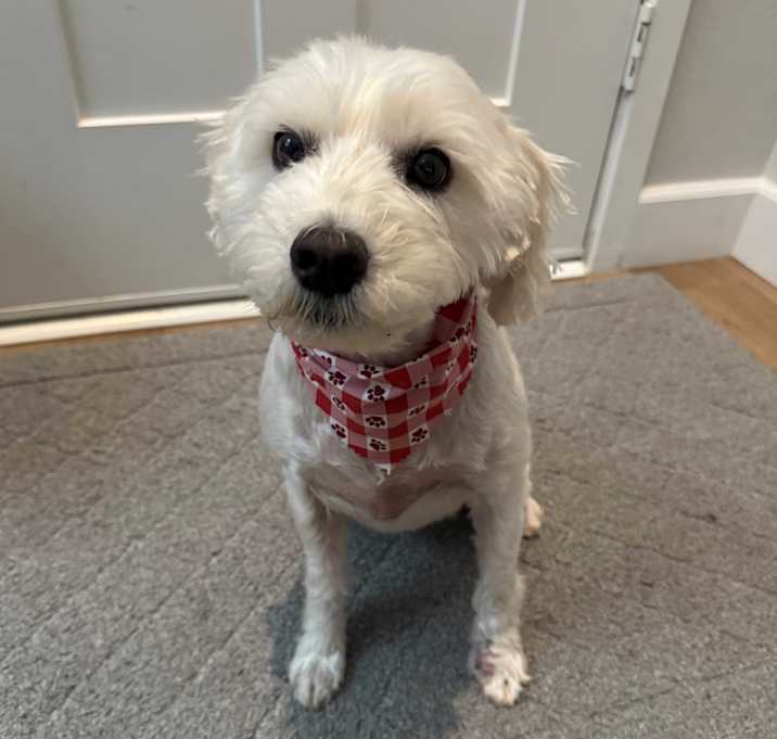 Photo of Maddie