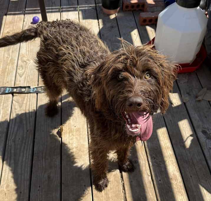 Photo of Winnie