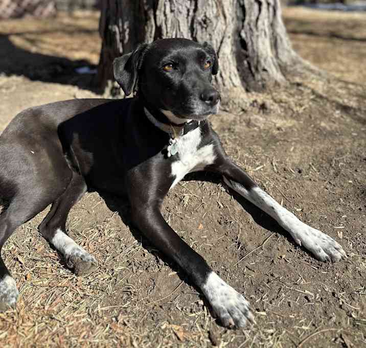 Photo of Rowena