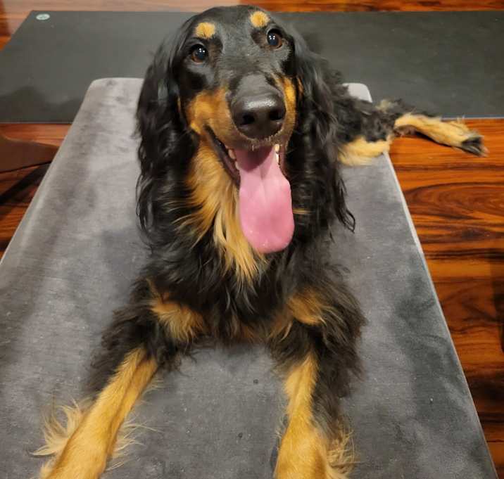 Photo of Lyric