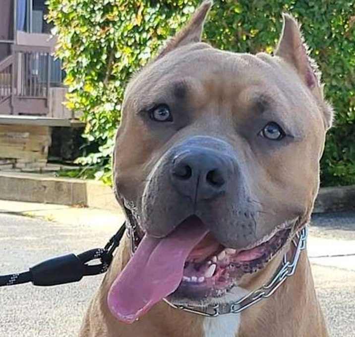 Photo of Bane