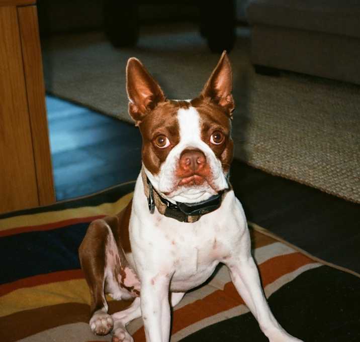 Photo of Rogue