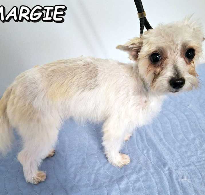 Photo of Margie