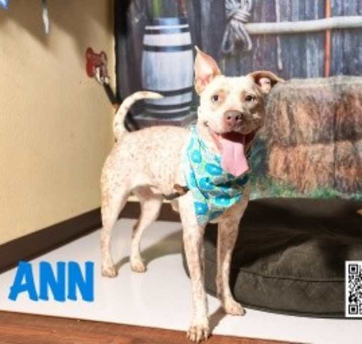 Photo of Ann