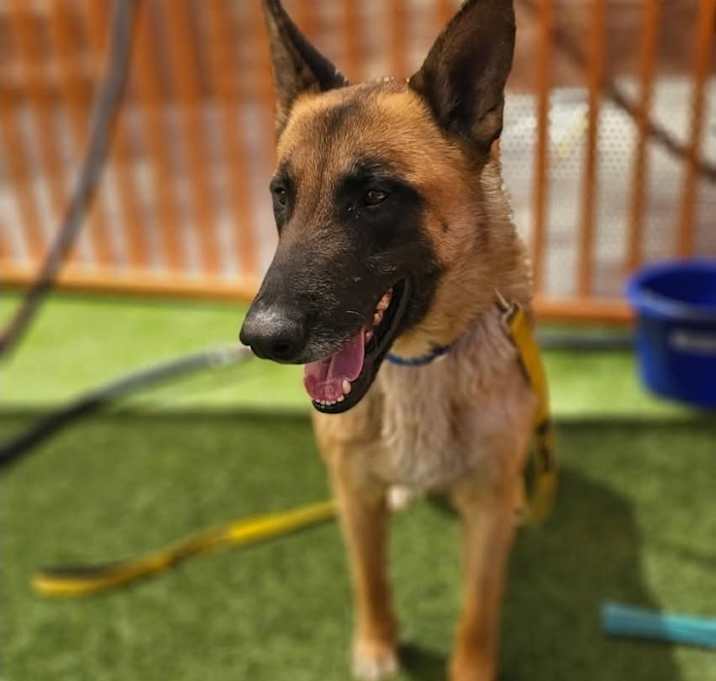 Photo of Levi