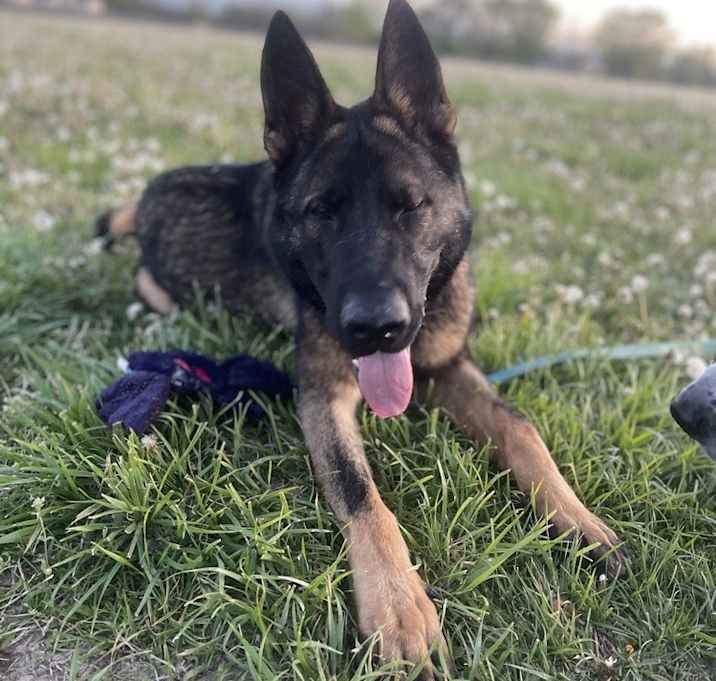 Photo of Kaiser