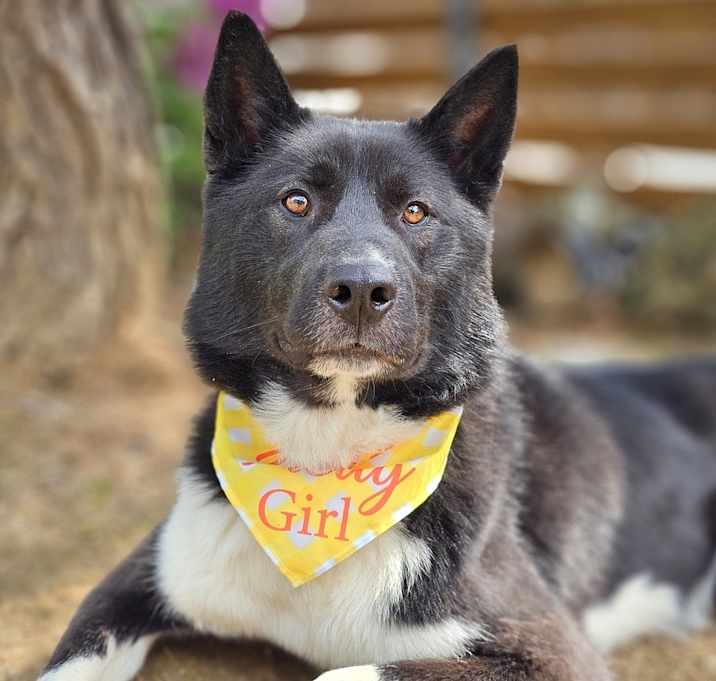 Photo of Ferrero
