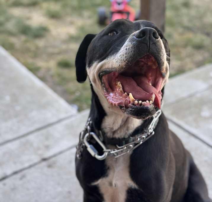 Photo of Xavier