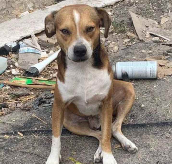 Photo of CANELO