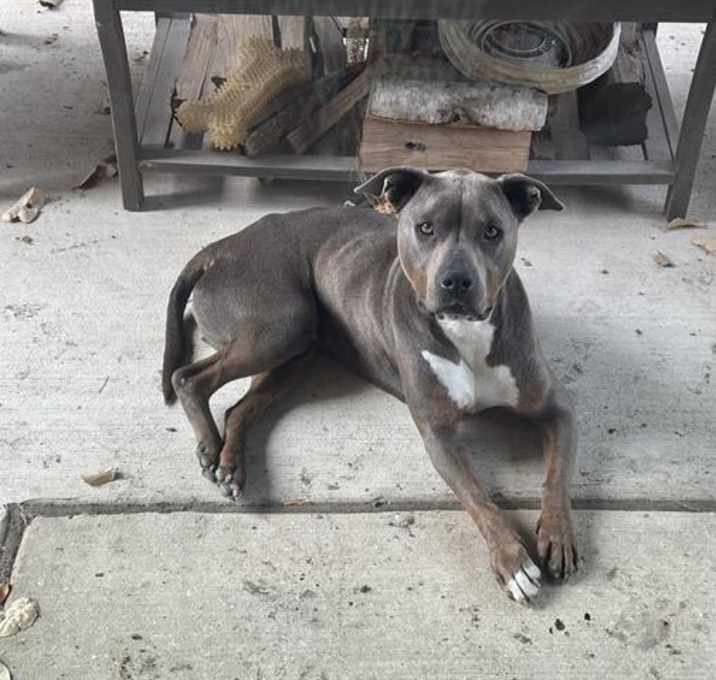 Photo of ZEUS