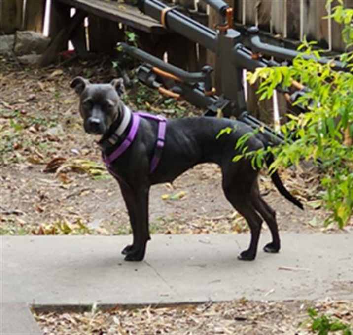 Photo of OLIVIA