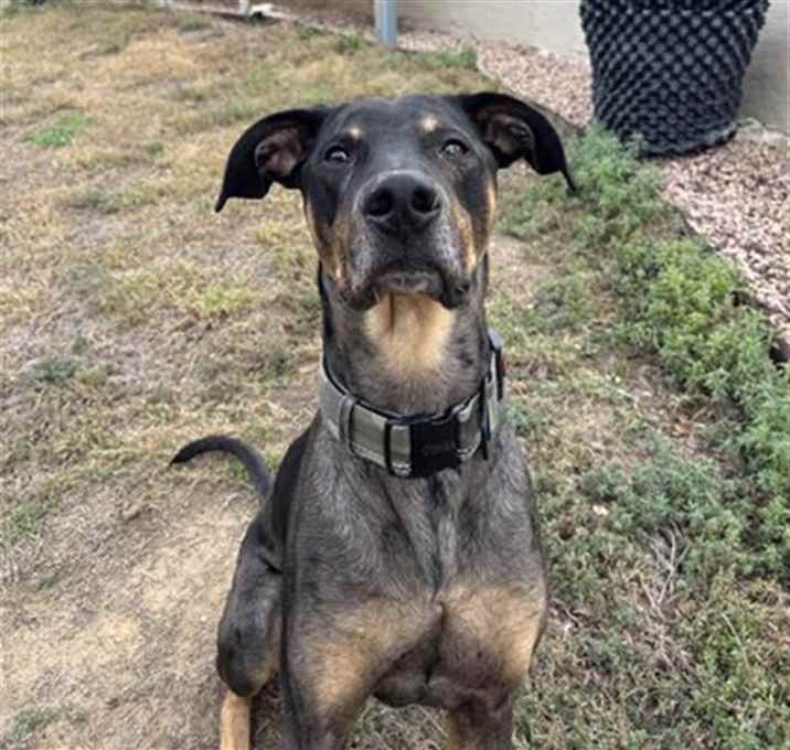 Photo of DEBO
