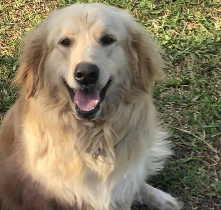 Photo of MOLLY