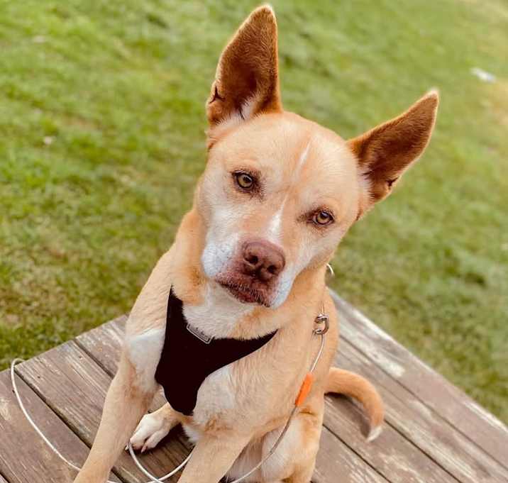 Photo of Maggie