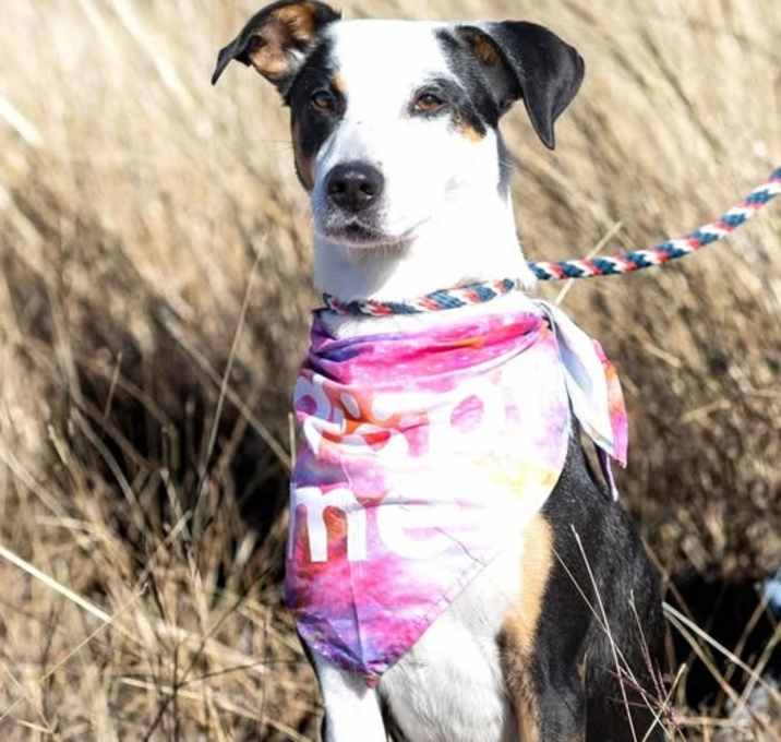 Photo of Luna