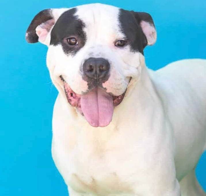 Photo of Bruce