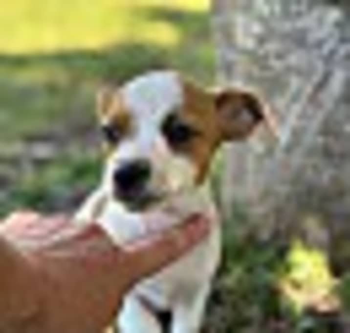 Photo of Leela