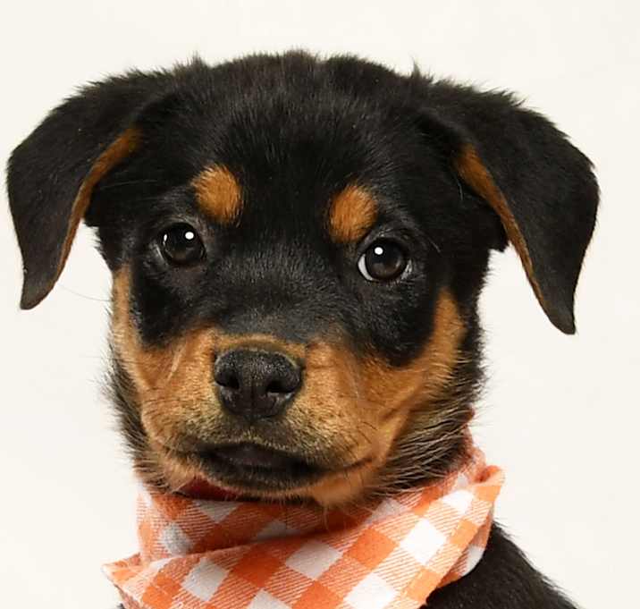 Photo of Kaylee