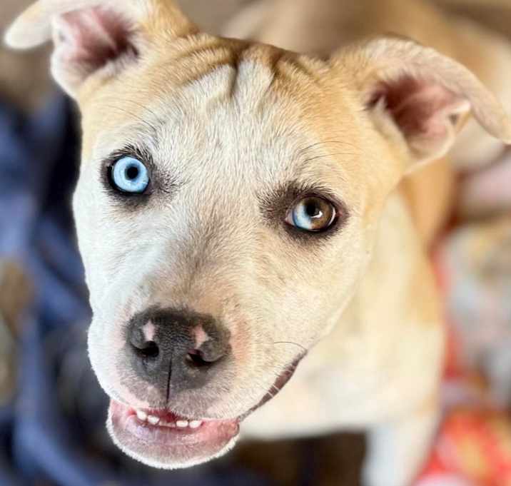 Photo of Birdie Mae