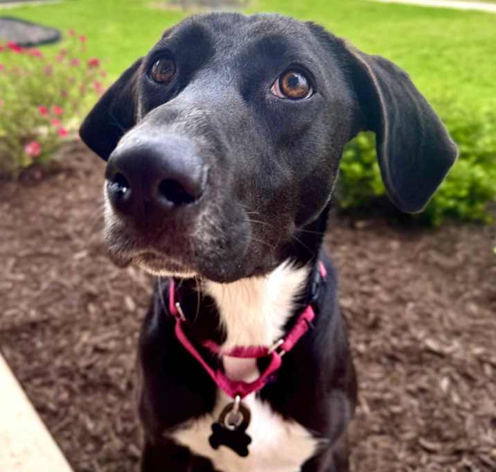 Photo of Lucy