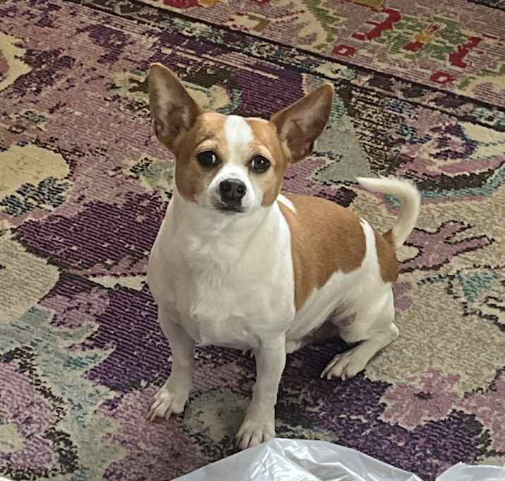 Photo of Tiny