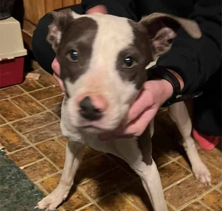 Photo of Dottie