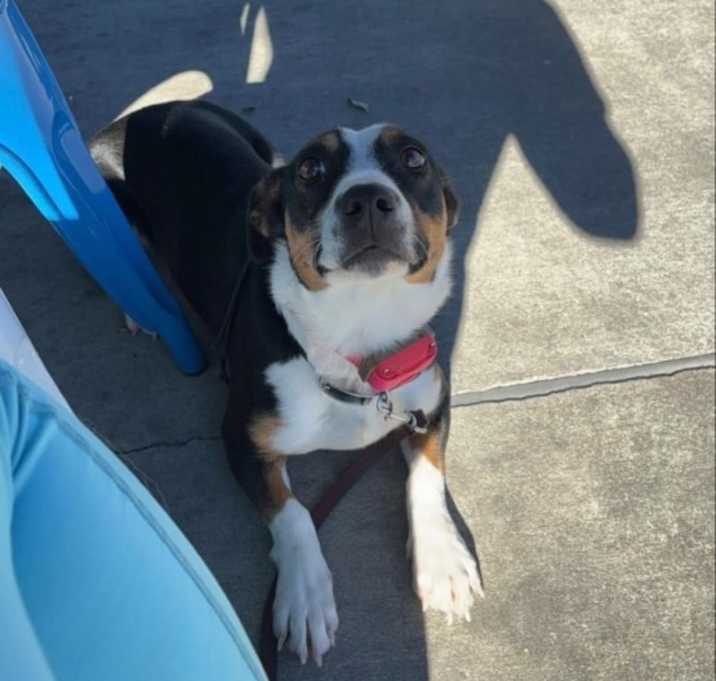 Photo of Honey