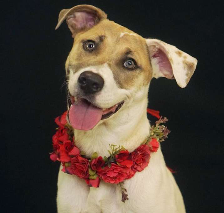 Photo of Ellie Mae