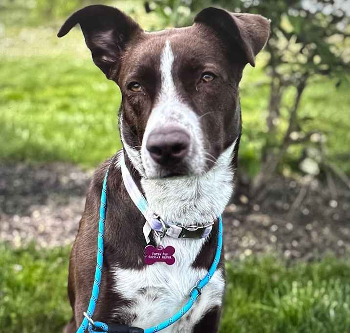 Photo of Button