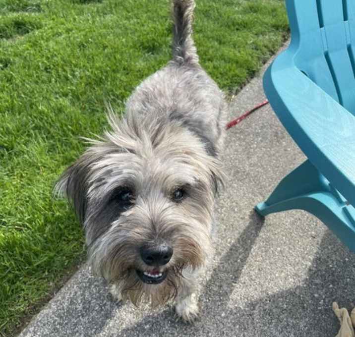 Photo of Misty