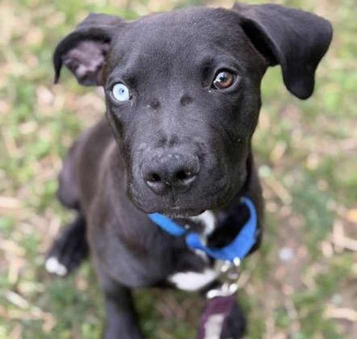 Photo of Finley