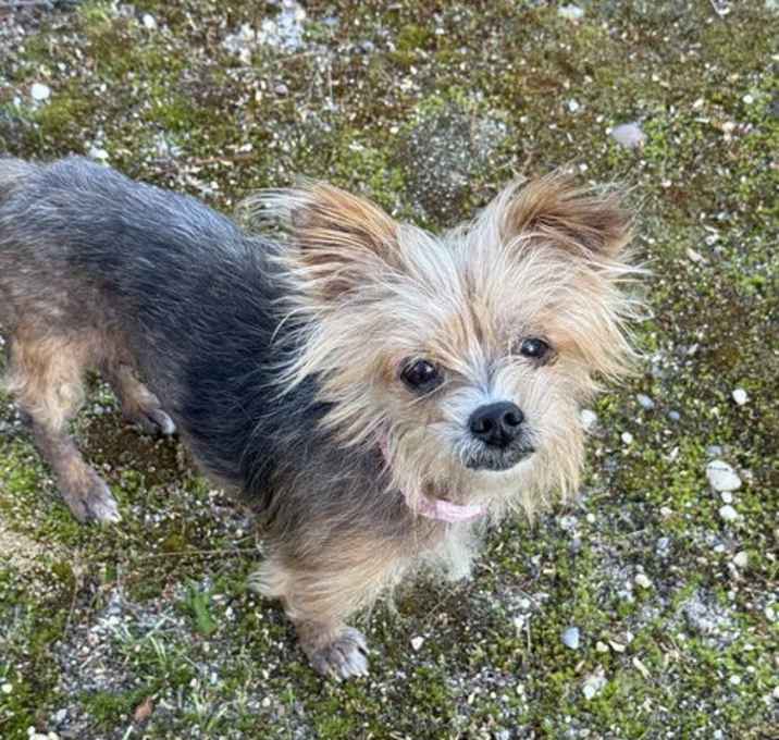 Photo of Charlie