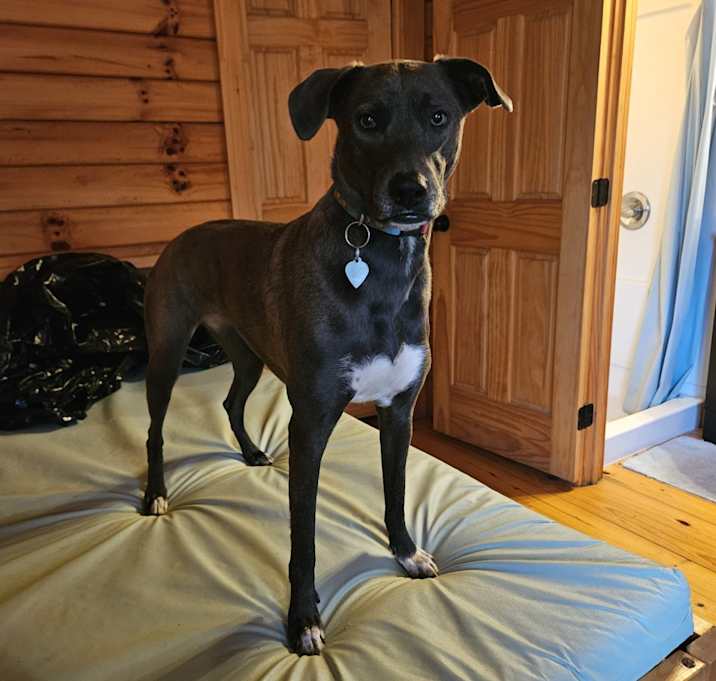 Photo of Ruby