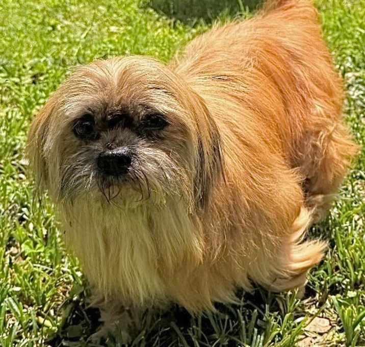 Photo of Chloe