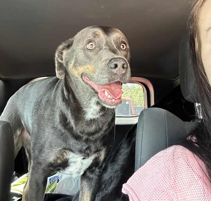 Photo of Jax