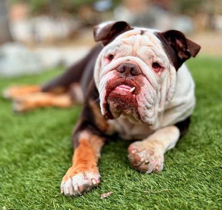 Photo of Normy