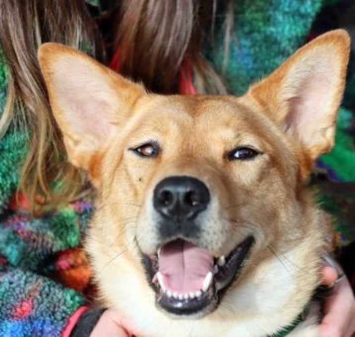 Photo of Canela