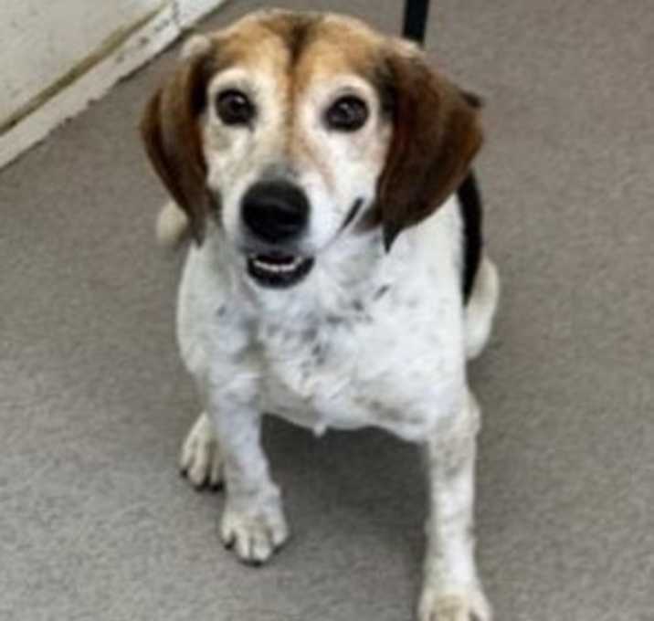 Photo of Tucker