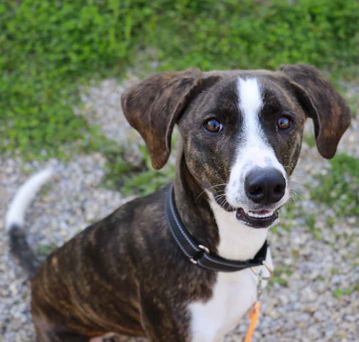 Photo of PEANUT